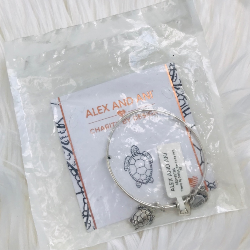 Alex and Ani Bangle